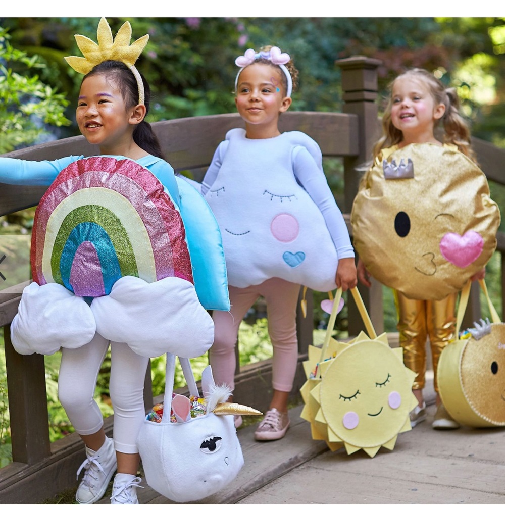Pottery Barn Kids Halloween Costume